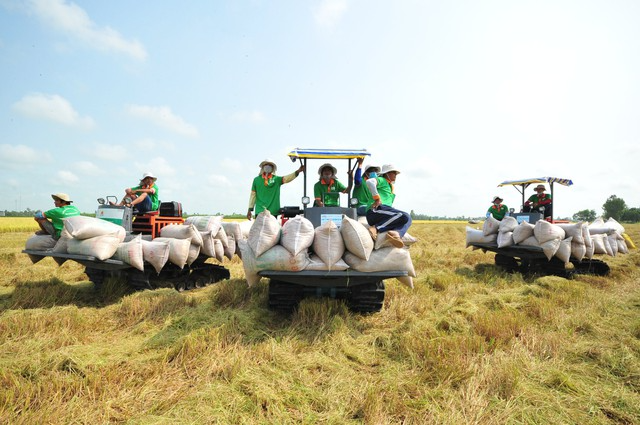 Việt Nam là nước duy nhất có nhiều doanh nghiệp tham gia và thắng thầu với số lượng lớn (trên 2 lô). Ảnh: Thanh Niên